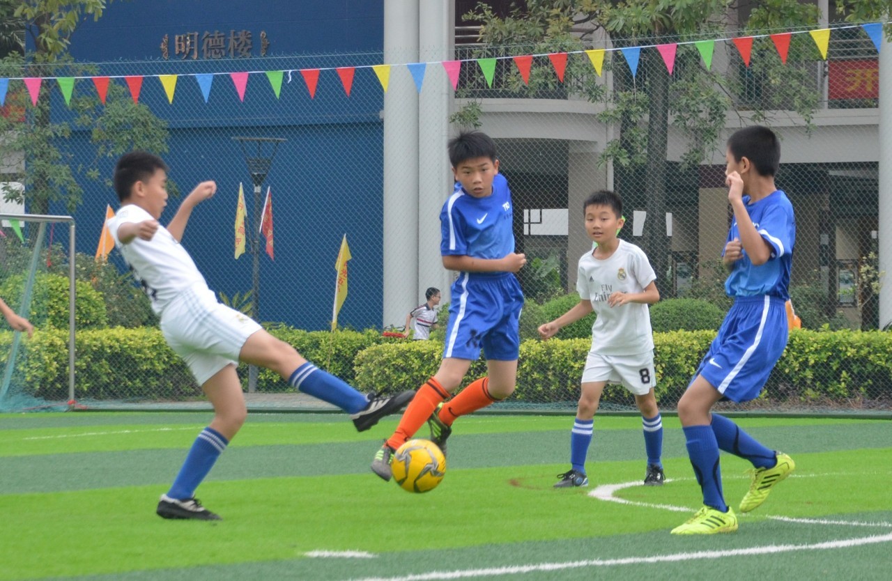 逐渐显现出 逐渐显现出