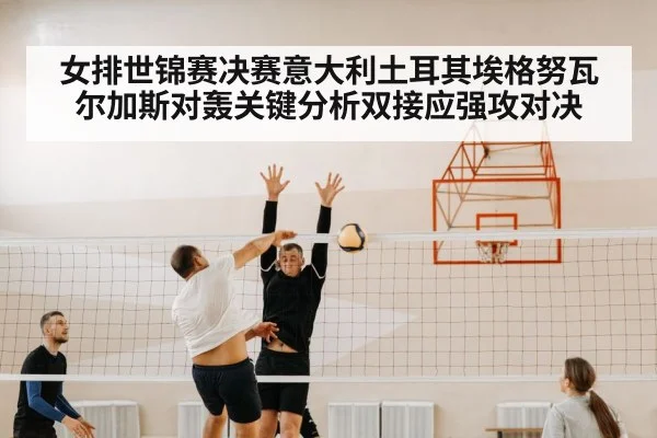 volleyball net block defense
